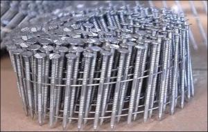 Wholesale nail form: Coil Roofing Nails