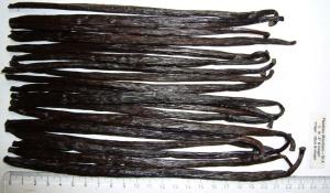 Wholesale chocolate: Vanilla Beans Wholesale
