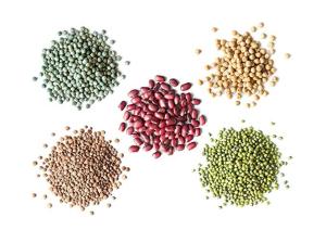 Wholesale lentil: Organic Non-GMO Mung Bean, Lentils and Peas, Speckle, Pulses, Chickpea