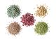 Organic Non-GMO Mung Bean, Lentils and Peas, Speckle, Pulses, Chickpea