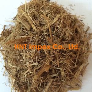 Wholesale sawdust for mushroom: Sugarcane Bagasse