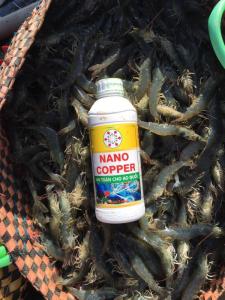 Wholesale prawns: Nano Copper