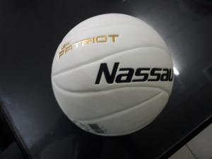 Wholesale designer: New Volley Ball Design of 12 Panels
