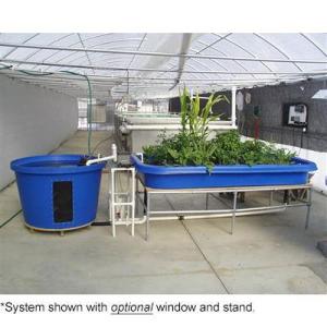 Wholesale fish: Aquaculture System and Aquaponic System