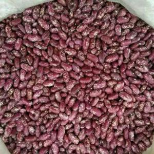Wholesale kidney beans: Kidney Beans