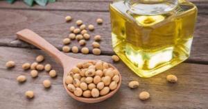 Wholesale max: Refined Soybean Oil , Hydrogenated Soybean Oil , Soybean Acid Oil. Crude Soya Bean Oil