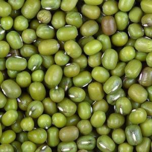 Wholesale top quality: Top Quality Green Mung Beans