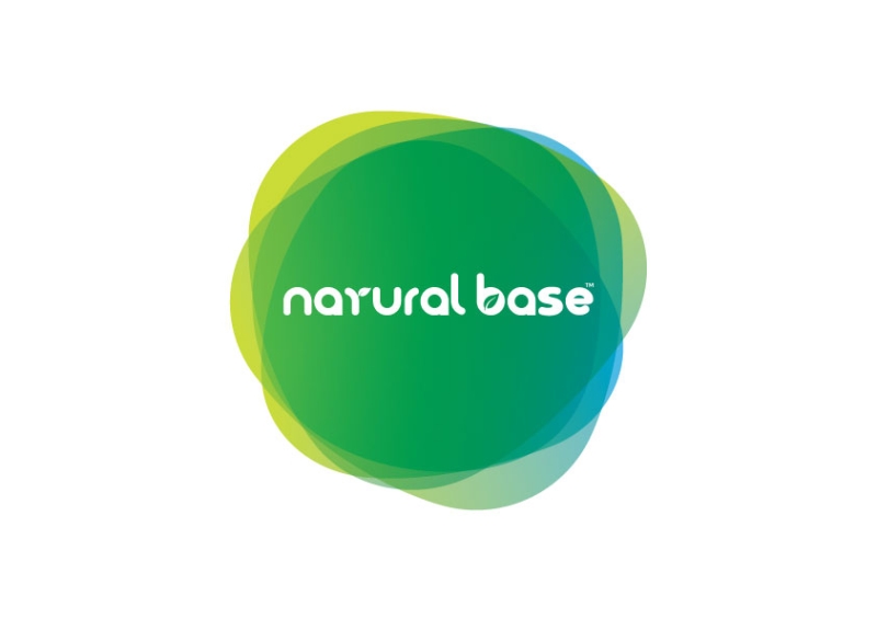 Natural base