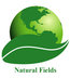 Trace Element Fertilizer, Sodium Copper Chlorophyllin|Qingzhou Natural Fields Botechnology Co.,Ltd Company Logo