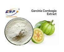 Wholesale citrus extract: White Fine Powder Natural Plant Extracts Hydroxycitric Acid 50% 60% Garcinia Cambogia Extract
