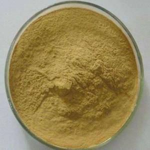 Wholesale Health Food: Green Tea Extract.