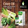 Wholesale promotion: Sell Celery Oil , Apium Graveolens, Ajwain