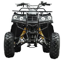 Tao Tao Ata 150 E Eagle Sport ATV Youth-adult ATV(id:6795696). Buy atv ...