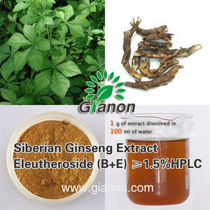 Wholesale eleutherosides b e: Siberian Ginseng Extract Eleutheroside  Isofraxidin