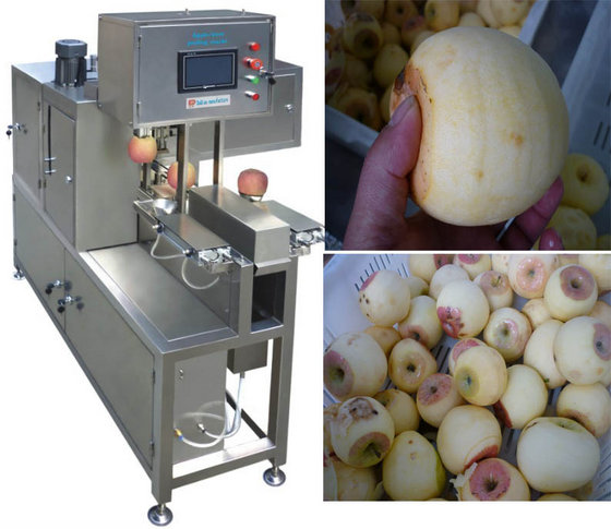 commercial apple peeler machine for sale