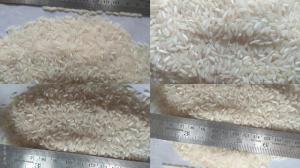 Wholesale non basmati rice: Non-Basmati Rice