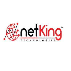NetKing Web Services Pvt. Ltd.