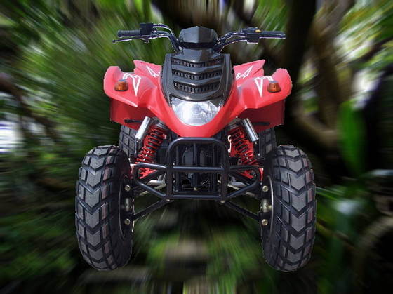 Atv Quad New Force 425 Id 845368 Product Details