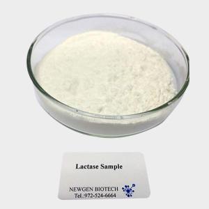Wholesale Whey Powder: Lactase