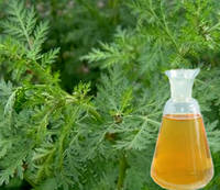 Wormwood Oil/Artemisia Annua Oil