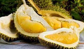 Wholesale garden products: Frozen Durian with Vacuum Pack From Vietnamese Brand High Quality IQF Process Preserved