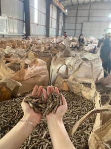 Wholesale fuel: Wood Pellets From Vietnam