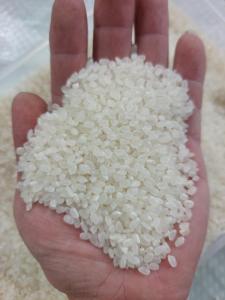Wholesale adhesive: Japonica Rice