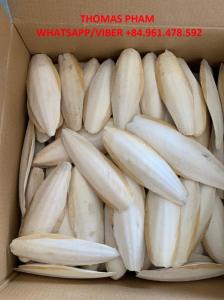 Wholesale china inspection company: Best Price Cuttlebone/Cuttlefish Bone/Cuttle Bone/Cuttle Fish Bone Whatsapp/Viber +84.961.478.592