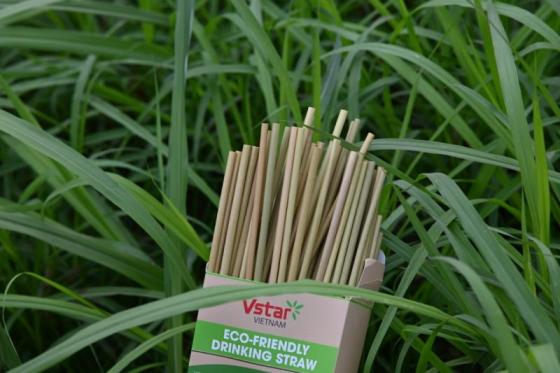 Sell Vietnam biodegradable tableware (natural straws, bamboo cutlery, etc.)