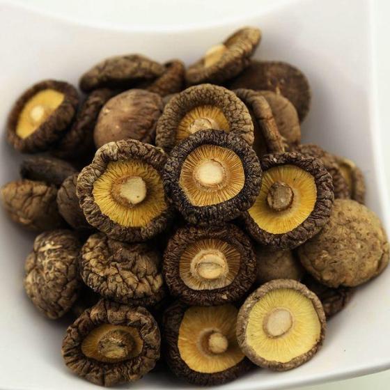 Shiitake Mushroom; Abalone Mushroom; Oyster Mushroom; Black Fungus ...