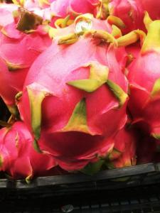 Wholesale sugar: Fresh Dragon Fruit - High Quality, Stable Supply, Competitive Price (HuuNghi Fruit)