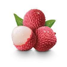 Wholesale door: Fresh Lychee - High Quality, Stable Supply, Competitive Price (HuuNghi Fruit)