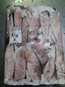 Wholesale blocks: Loligo Squid