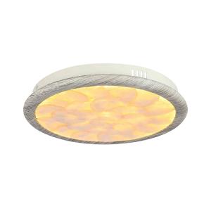 Wholesale switch supplier: Ceiling Lamp