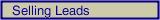 Selling Leads