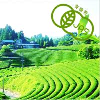 Plant-derived Nano-type Lactic Acid Bacteria : Probio Shield 3