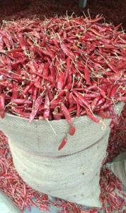 Wholesale food color: Dry Red Chilli