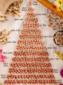 Wholesale Fresh Food: Peanuts