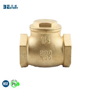 OEM All Type Professional No Lead Stop Check Valve
