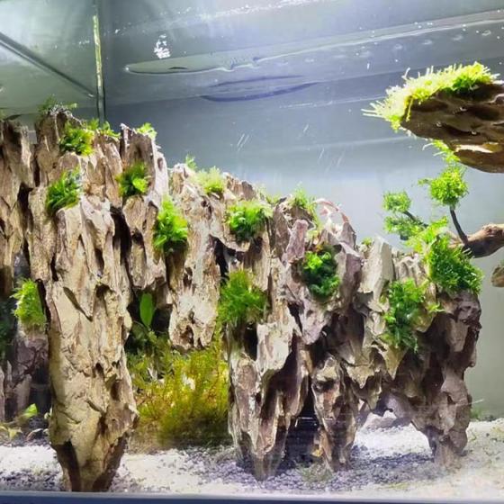 Sell Dragon Stone Ohko Aquascaping Aquarium Rocks(id:24359709) - EC21