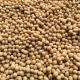 Sell Dried Soybeans / Dried Soybean Seeds / Non-Gmo Soybeans