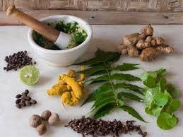 Wholesale Plant Extract: All Kind of Herbal Extract and Herbal Spices