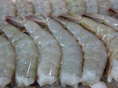 Sell Frozen Prawn Vanamei/Shrimp RPND/Shrimp PDTO/Shrimp