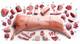 Cheap Frozen Pork Meat / Pork Hind Leg / Pork Feet for Sale!