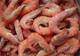 Best Offer Price Frozen Prawn and Shrimp