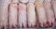 Brazil Halal Frozen Whole Chicken, Frozen Chicken Paws Frozen Processed Chicken Feet