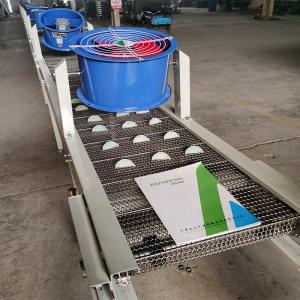 Wholesale durable conveyor friction roller: Fruit/Vegetable Washing Machine for Food Processing