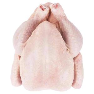Wholesale good price &: High Quality Halal Frozen Whole Chicken | Wholesale Halal Frozen Whole Chicken for Sale | Halal Froz