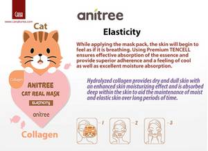 Wholesale elasticity: CANA Anitree Elasticity Mask Pack Collagen