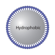 Wholesale can forming: Hydrophobic Coatings
